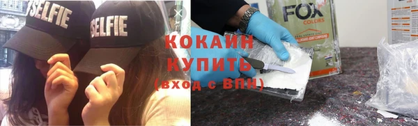твердый Аркадак