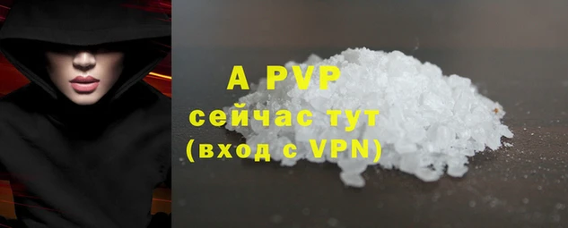твердый Аркадак