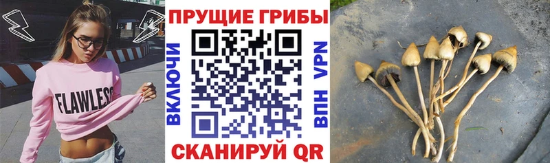 Галлюциногенные грибы мухоморы  Волхов 